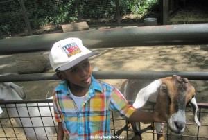 zoofeaturepic1