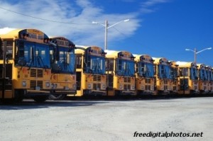 bus watermarked